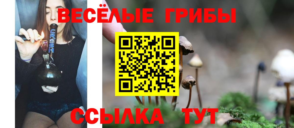 Псилоцибиновые грибы прущие грибы  Вход с VPN  Псилоцибиновые грибы мухоморы  Клин 